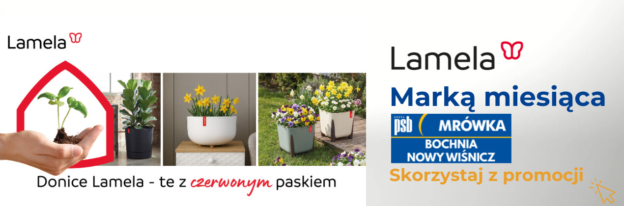 zdjęcie na stronie głównej