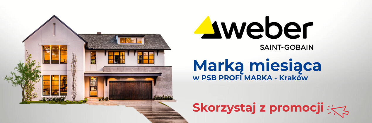 zdjęcie na stronie głównej