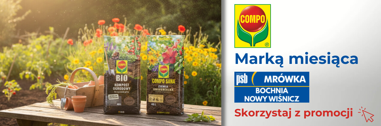 zdjęcie na stronie głównej